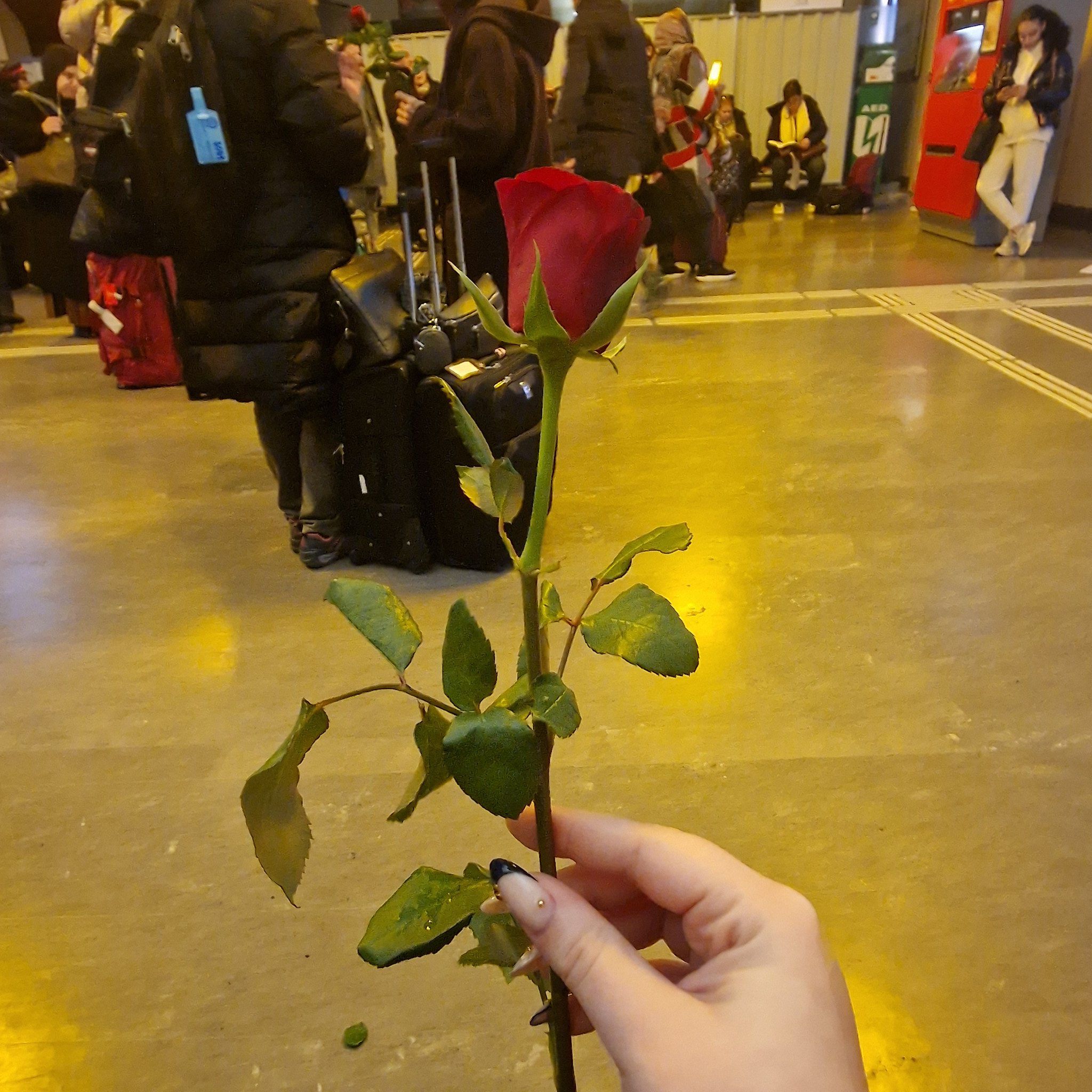 La Saint-Valentin : une fête ancrée dans les mœurs, mais critiquée