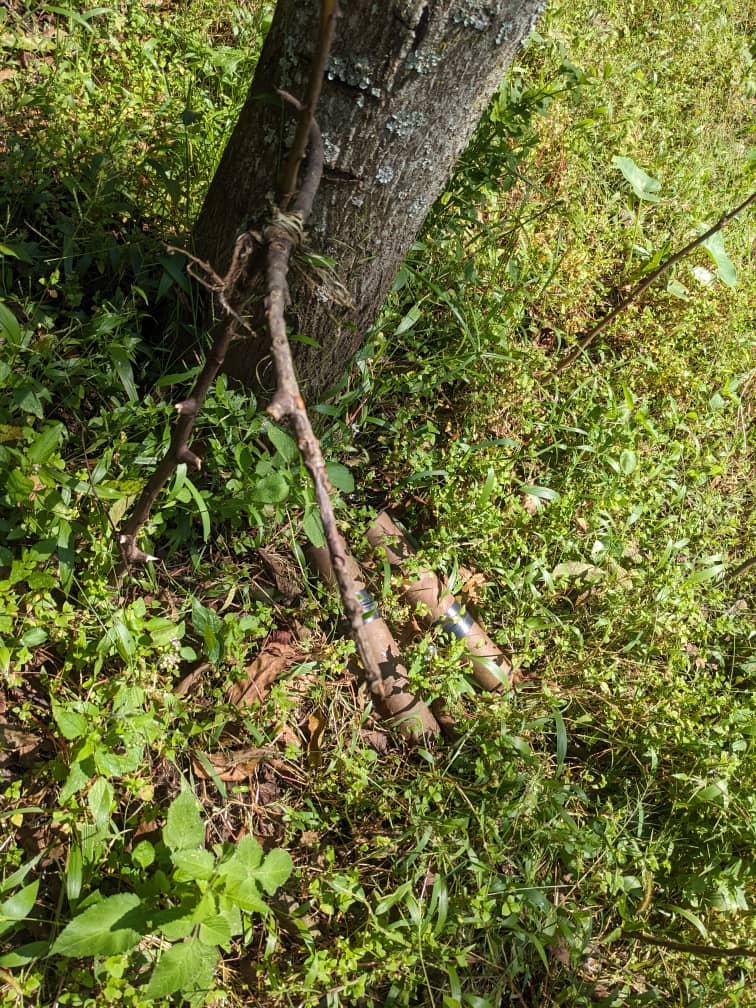 RDC : Présence de mines piégées dans la concession de l&rsquo;INERA Mulungu au Sud-Kivu