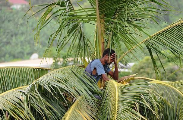 Santé mentale : Le CNPP au cœur de la prévention avec des consultations gratuites
