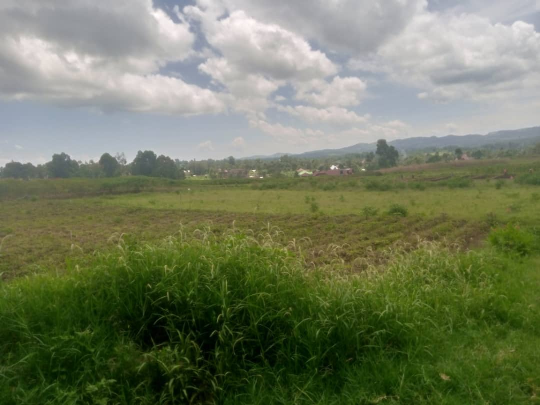 RDC : la guerre à l&rsquo;est dévaste l&rsquo;agriculture et  menace l&rsquo;environnement